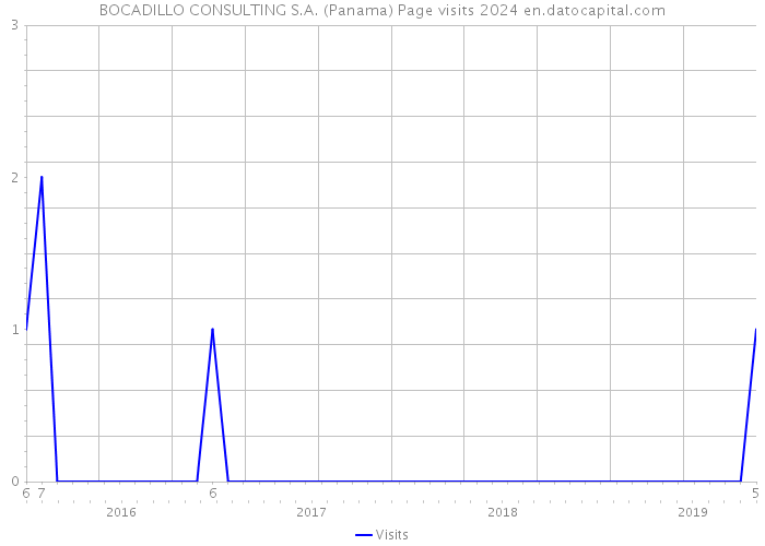 BOCADILLO CONSULTING S.A. (Panama) Page visits 2024 