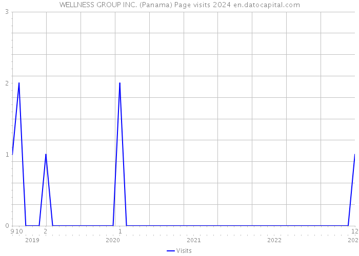 WELLNESS GROUP INC. (Panama) Page visits 2024 