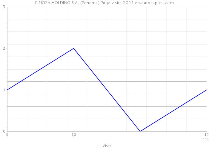 PINOSA HOLDING S.A. (Panama) Page visits 2024 