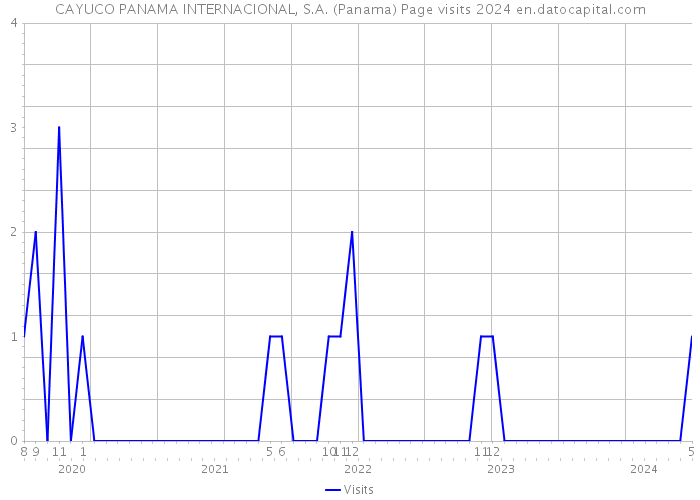 CAYUCO PANAMA INTERNACIONAL, S.A. (Panama) Page visits 2024 