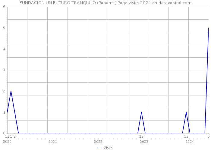 FUNDACION UN FUTURO TRANQUILO (Panama) Page visits 2024 