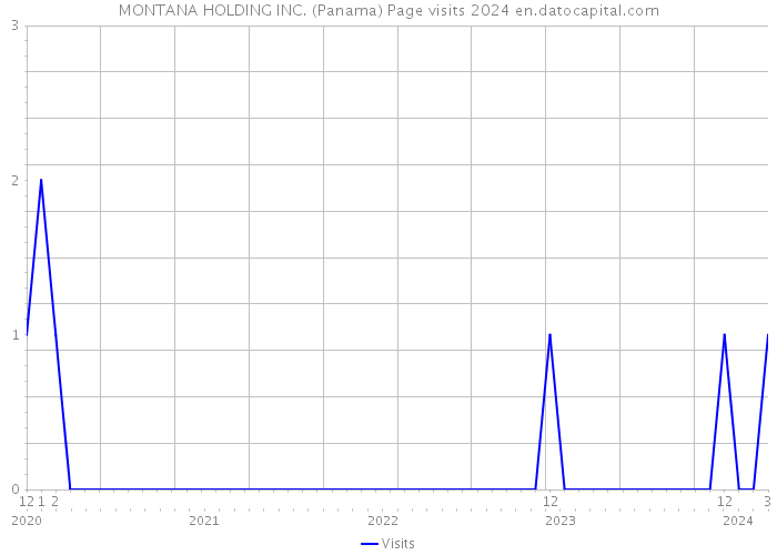 MONTANA HOLDING INC. (Panama) Page visits 2024 