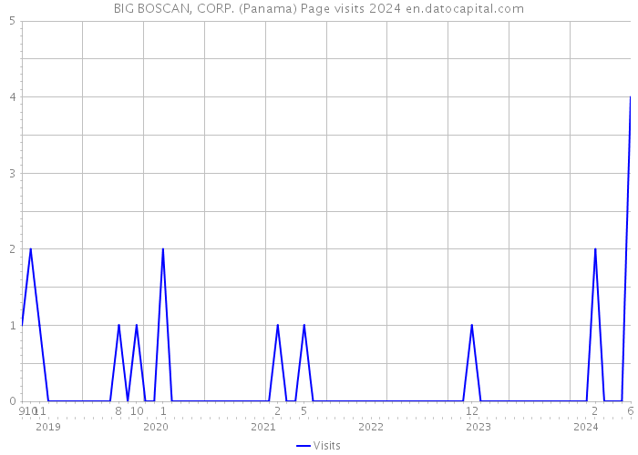 BIG BOSCAN, CORP. (Panama) Page visits 2024 