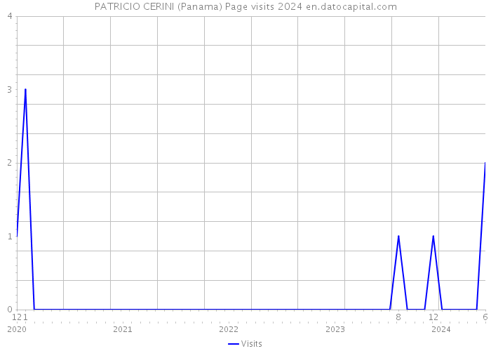 PATRICIO CERINI (Panama) Page visits 2024 