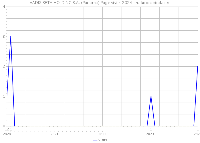 VADIS BETA HOLDING S.A. (Panama) Page visits 2024 