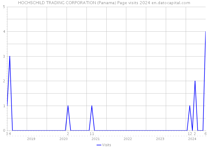 HOCHSCHILD TRADING CORPORATION (Panama) Page visits 2024 