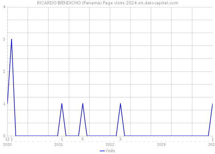 RICARDO BIENDICHO (Panama) Page visits 2024 
