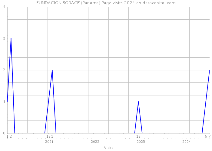 FUNDACION BORACE (Panama) Page visits 2024 