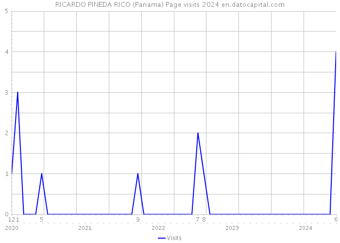 RICARDO PINEDA RICO (Panama) Page visits 2024 