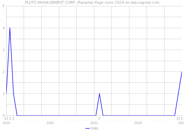 PLUTO MANAGEMENT CORP. (Panama) Page visits 2024 
