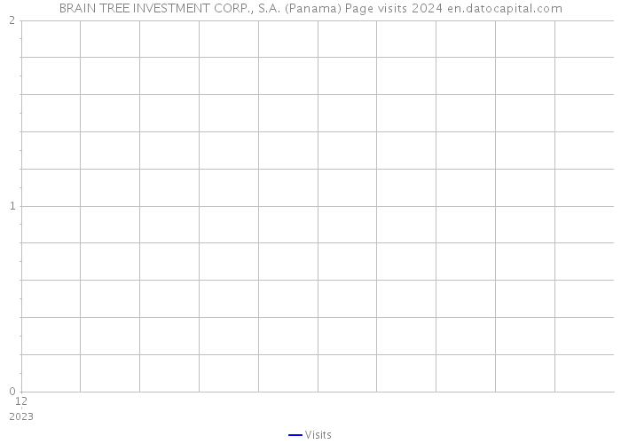 BRAIN TREE INVESTMENT CORP., S.A. (Panama) Page visits 2024 