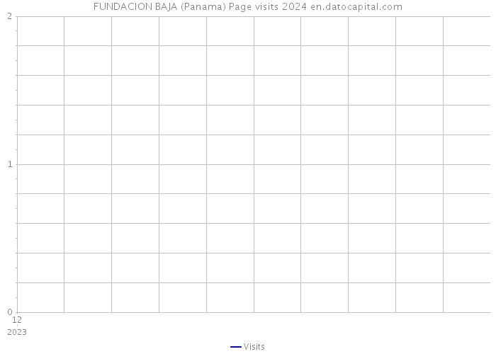 FUNDACION BAJA (Panama) Page visits 2024 