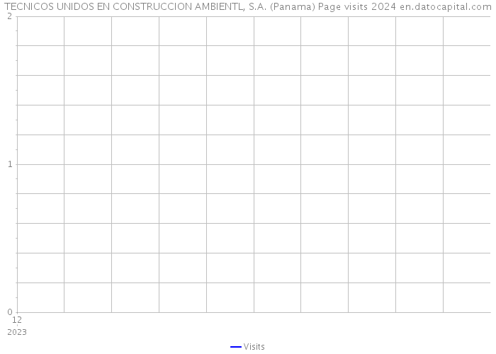 TECNICOS UNIDOS EN CONSTRUCCION AMBIENTL, S.A. (Panama) Page visits 2024 