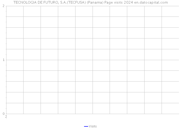 TECNOLOGIA DE FUTURO, S.A.(TECFUSA) (Panama) Page visits 2024 