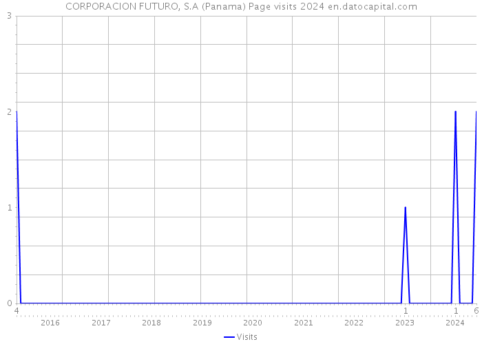 CORPORACION FUTURO, S.A (Panama) Page visits 2024 