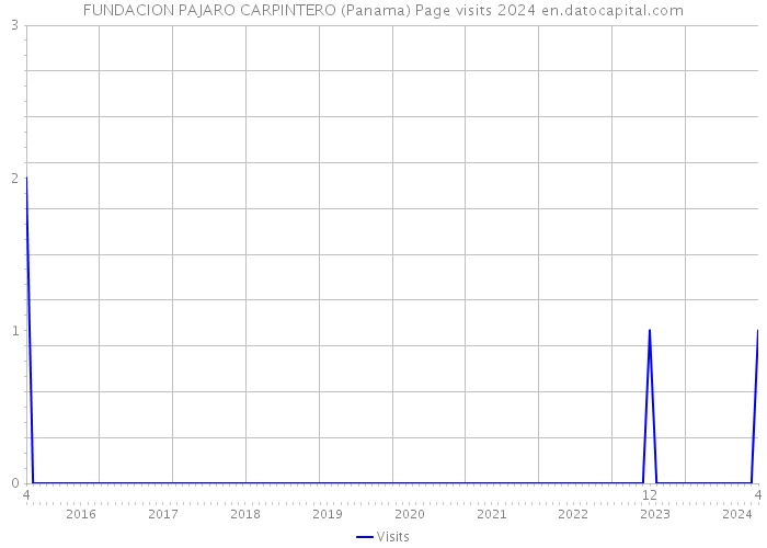 FUNDACION PAJARO CARPINTERO (Panama) Page visits 2024 