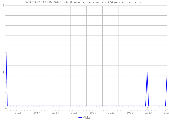 BW AMAZON COMPANY S.A. (Panama) Page visits 2024 