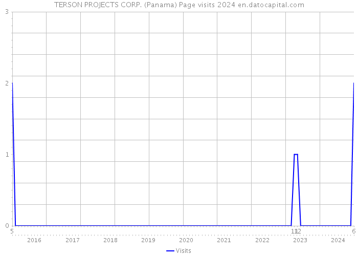 TERSON PROJECTS CORP. (Panama) Page visits 2024 