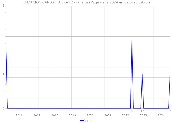FUNDACION CARLOTTA BRAVO (Panama) Page visits 2024 