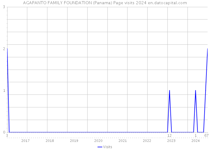 AGAPANTO FAMILY FOUNDATION (Panama) Page visits 2024 