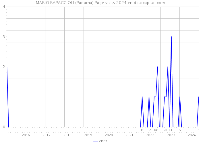 MARIO RAPACCIOLI (Panama) Page visits 2024 