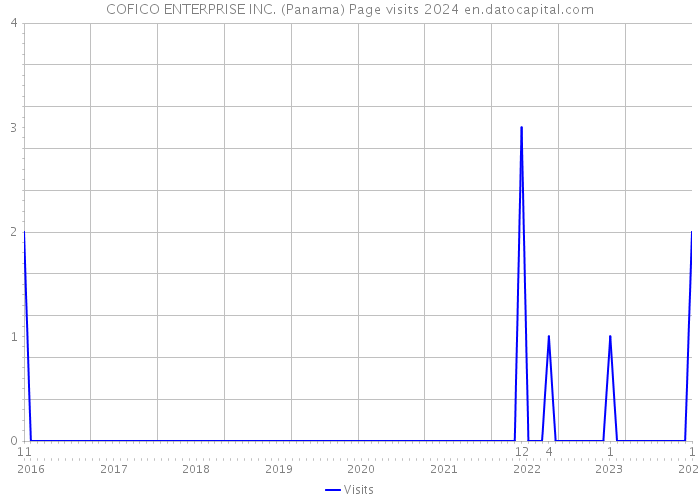 COFICO ENTERPRISE INC. (Panama) Page visits 2024 