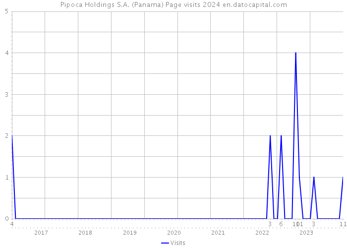 Pipoca Holdings S.A. (Panama) Page visits 2024 