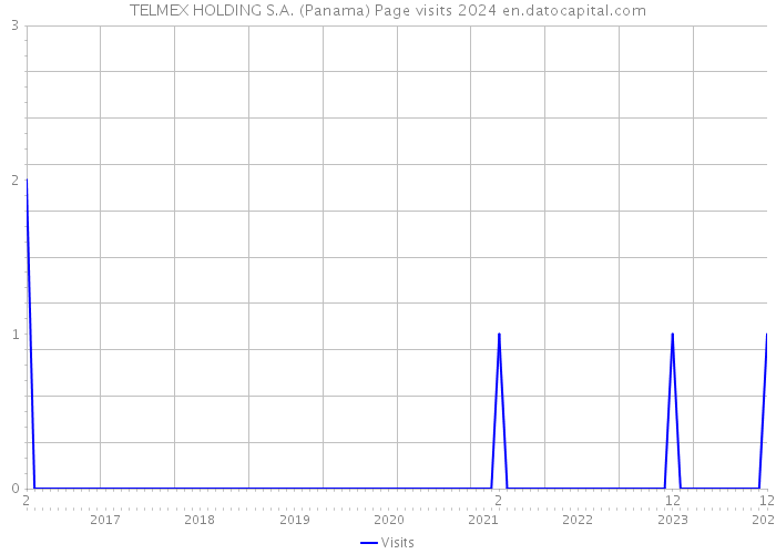 TELMEX HOLDING S.A. (Panama) Page visits 2024 