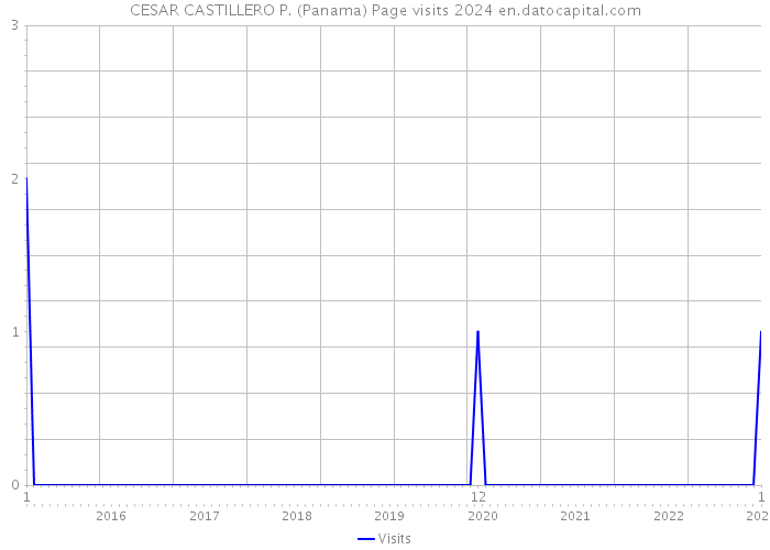 CESAR CASTILLERO P. (Panama) Page visits 2024 