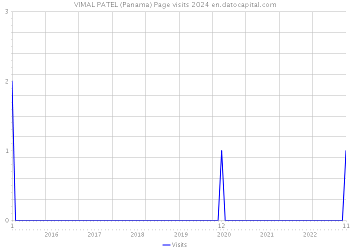 VIMAL PATEL (Panama) Page visits 2024 