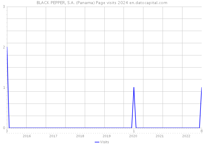 BLACK PEPPER, S.A. (Panama) Page visits 2024 