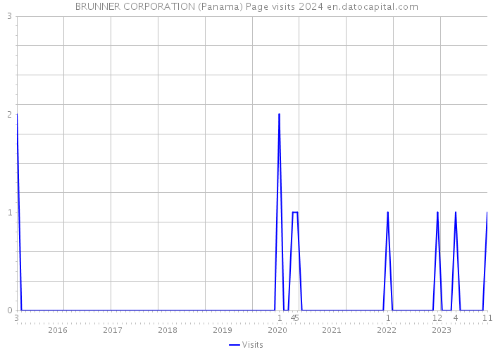 BRUNNER CORPORATION (Panama) Page visits 2024 