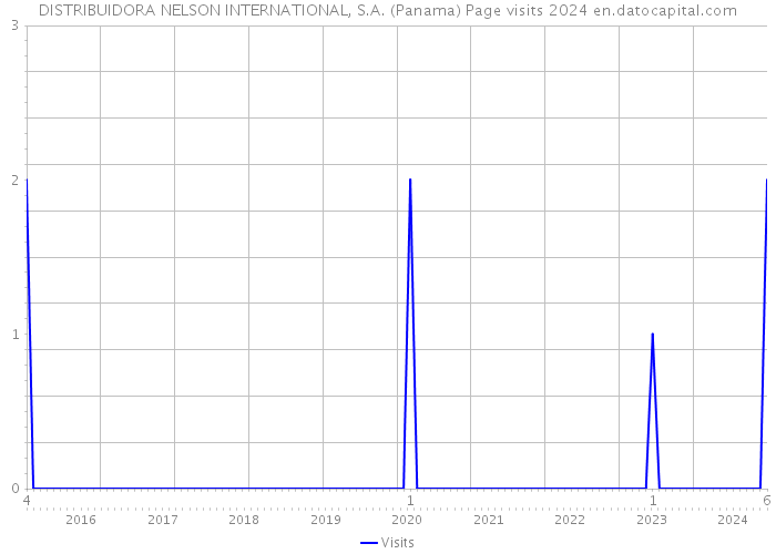 DISTRIBUIDORA NELSON INTERNATIONAL, S.A. (Panama) Page visits 2024 