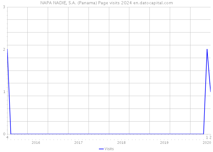 NAPA NADIE, S.A. (Panama) Page visits 2024 