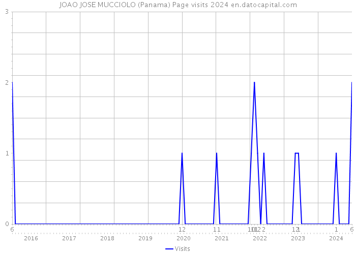 JOAO JOSE MUCCIOLO (Panama) Page visits 2024 