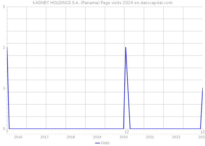 KADNEY HOLDINGS S.A. (Panama) Page visits 2024 