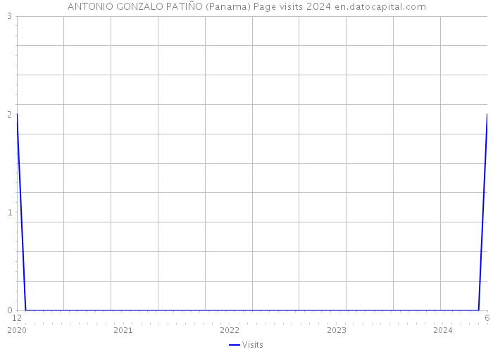 ANTONIO GONZALO PATIÑO (Panama) Page visits 2024 