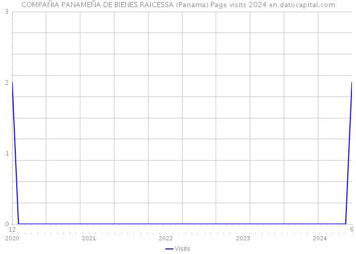 COMPAÑIA PANAMEÑA DE BIENES RAICESSA (Panama) Page visits 2024 