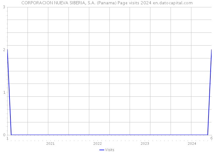 CORPORACION NUEVA SIBERIA, S.A. (Panama) Page visits 2024 
