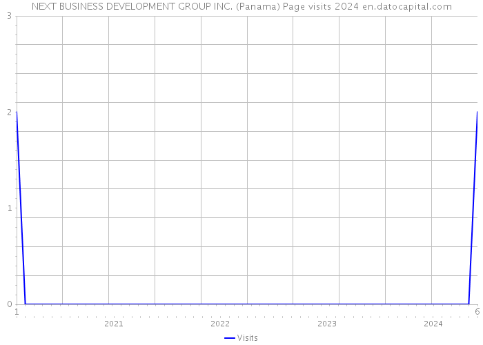 NEXT BUSINESS DEVELOPMENT GROUP INC. (Panama) Page visits 2024 