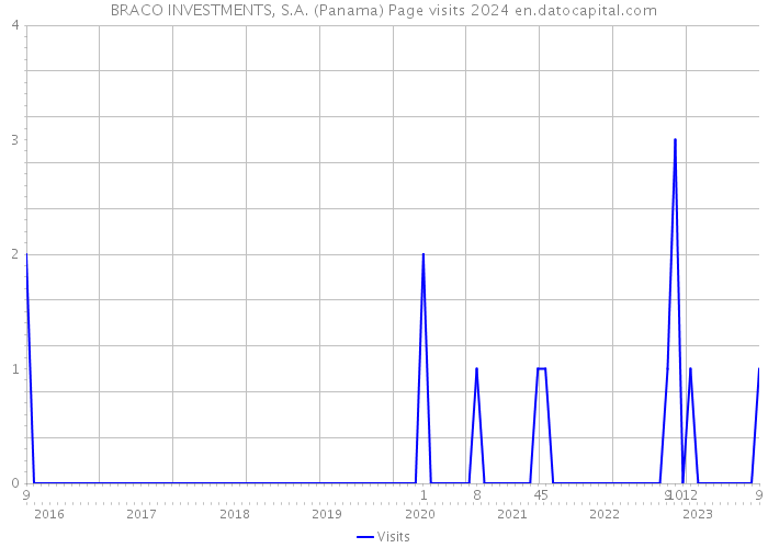 BRACO INVESTMENTS, S.A. (Panama) Page visits 2024 