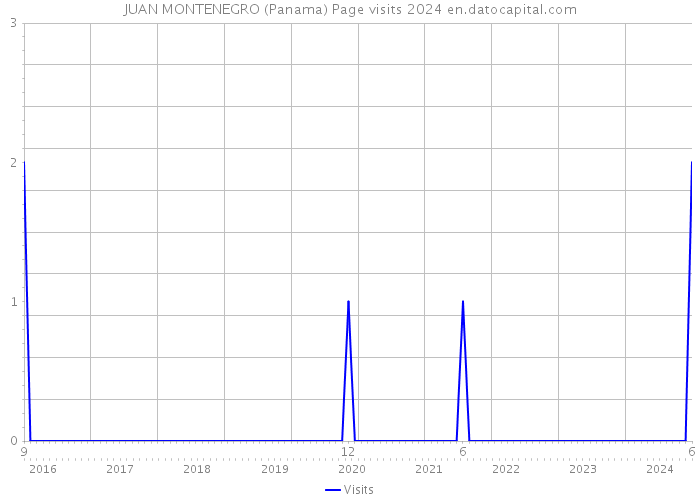 JUAN MONTENEGRO (Panama) Page visits 2024 