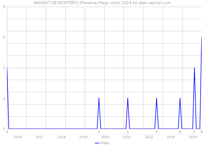 AMARJIT DE MONTERO (Panama) Page visits 2024 