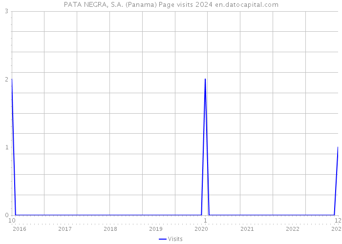 PATA NEGRA, S.A. (Panama) Page visits 2024 