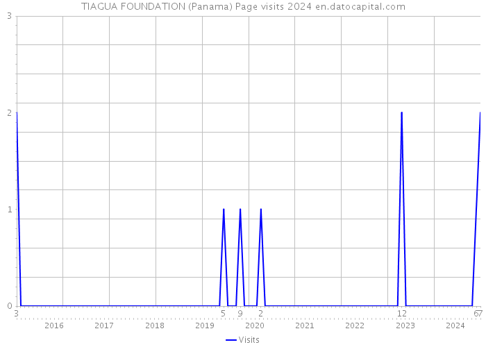 TIAGUA FOUNDATION (Panama) Page visits 2024 