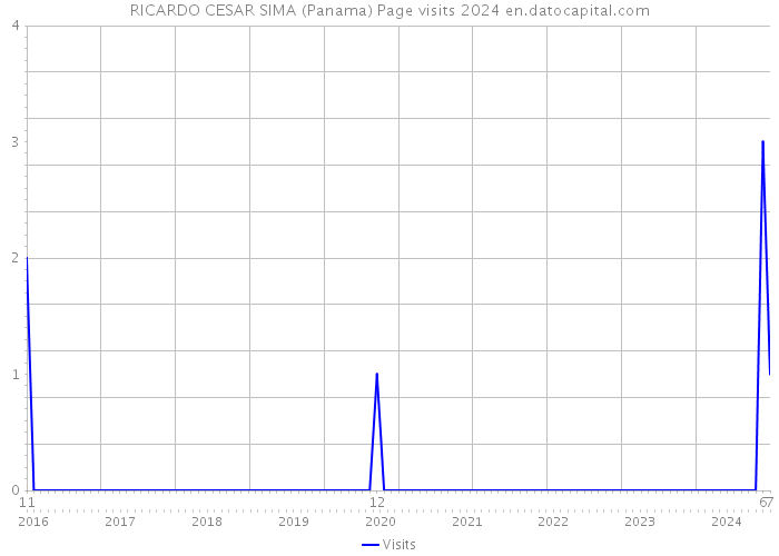 RICARDO CESAR SIMA (Panama) Page visits 2024 