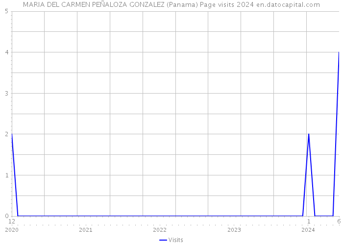 MARIA DEL CARMEN PEÑALOZA GONZALEZ (Panama) Page visits 2024 