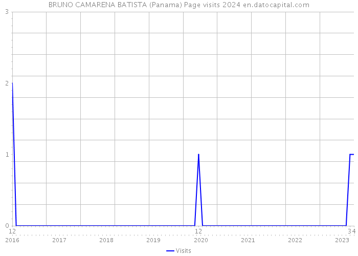 BRUNO CAMARENA BATISTA (Panama) Page visits 2024 