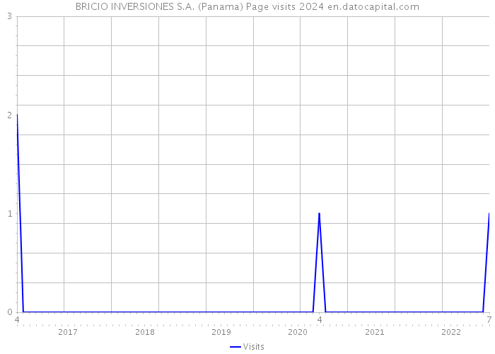 BRICIO INVERSIONES S.A. (Panama) Page visits 2024 