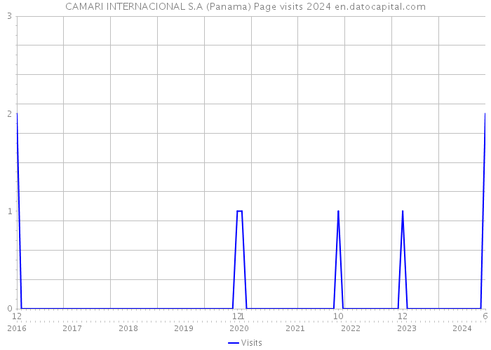 CAMARI INTERNACIONAL S.A (Panama) Page visits 2024 